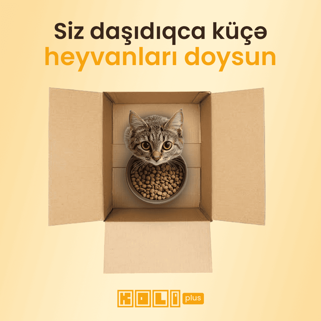 Siz daşıdıqca küçə heyvanları doysun!