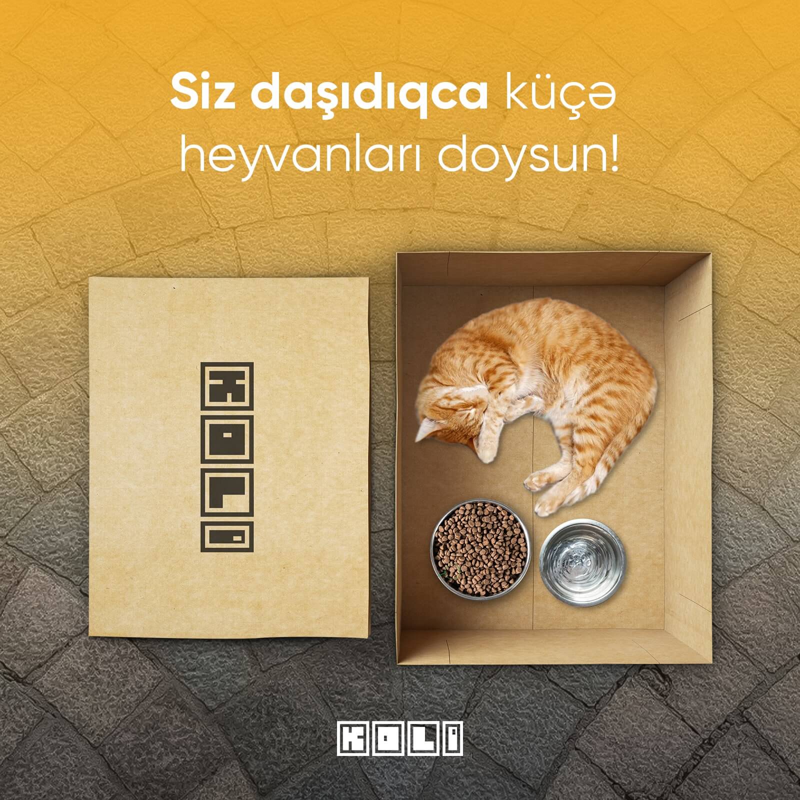 14 Fevrala 14 Günlük hədiyyə